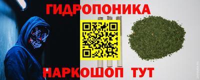 Альфа ПВП Уссурийск