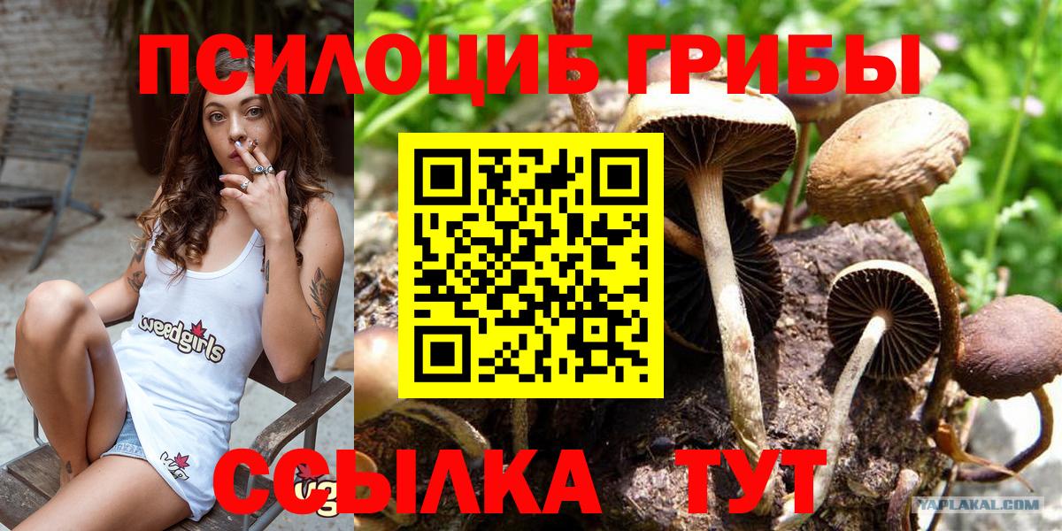 Псилоцибиновые грибы мухоморы Кызыл