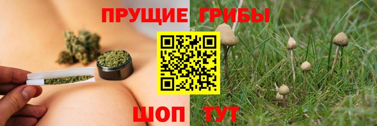 Кызыл  Галлюциногенные грибы MAGIC MUSHROOMS  Вход с VPN 